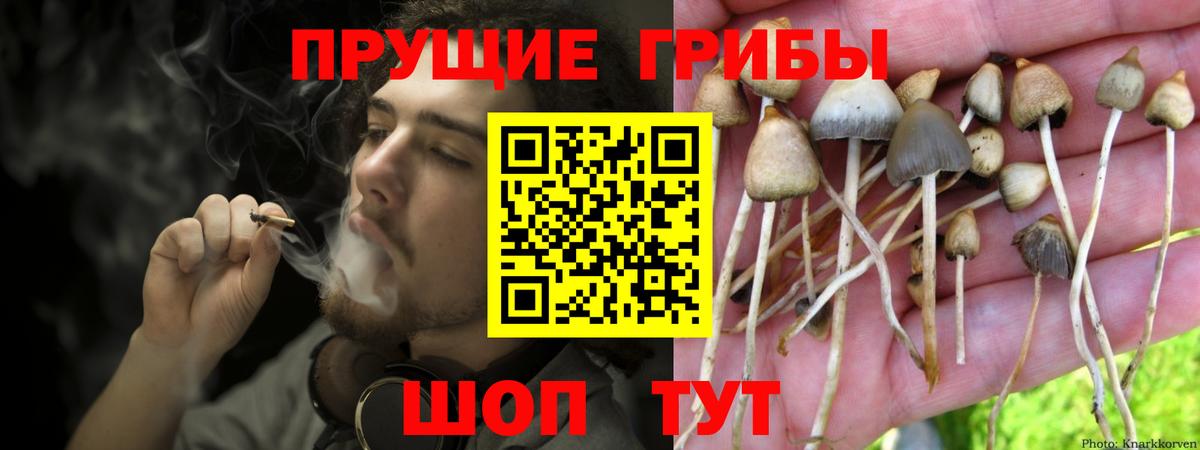 Псилоцибиновые грибы Psilocybe  Вход с VPN  Симферополь 